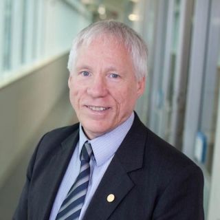 Professor Stephen Lye
