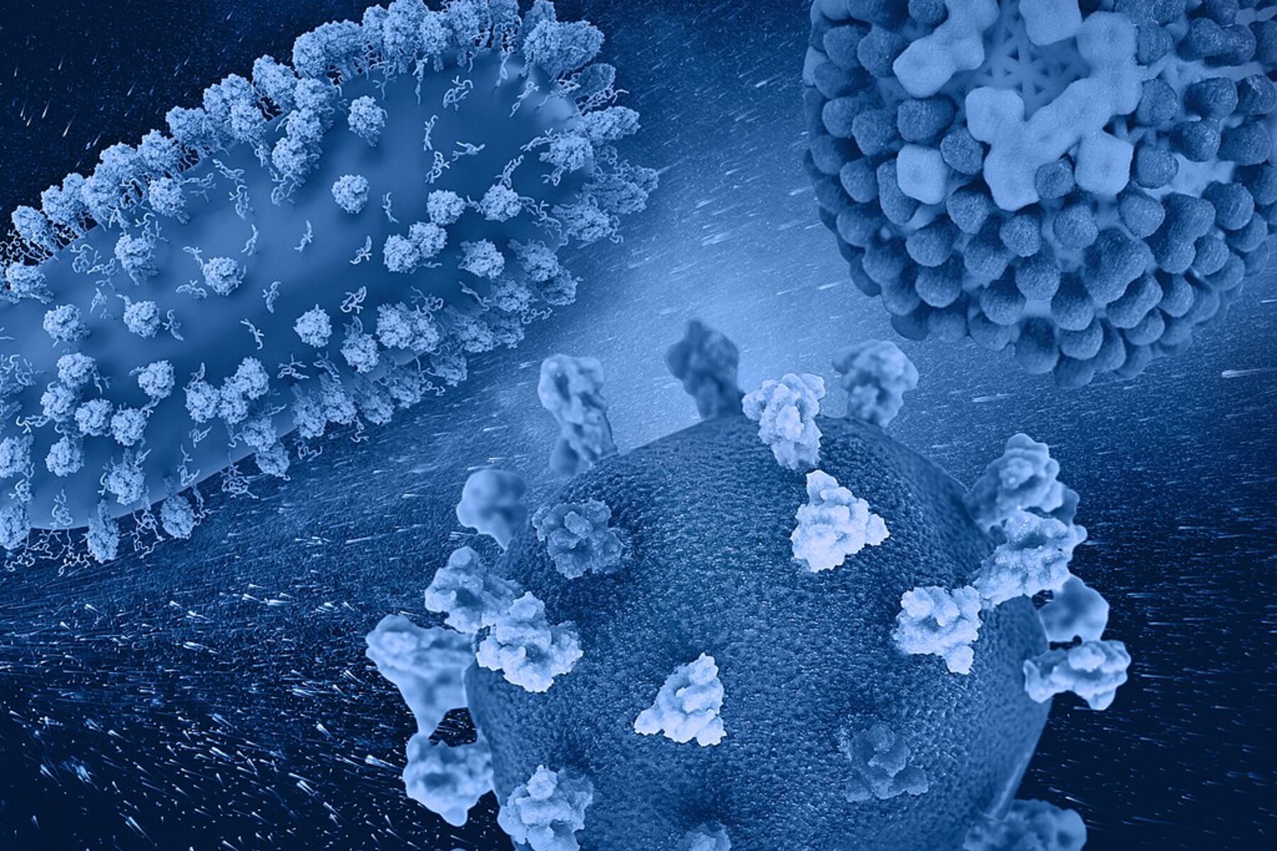 A 3D rendition of respiratory viruses RSV (top left), SARS-CoV-2 (bottom center), and flu (top right). Note: not to scale. (Image: NIAID)