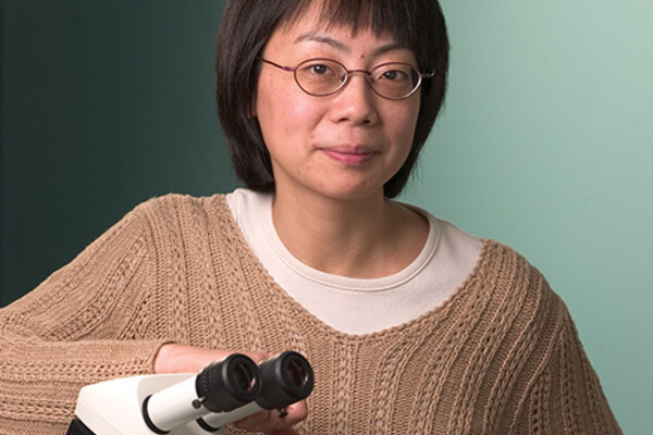 Mei Zhen