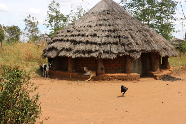 Rural Uganda