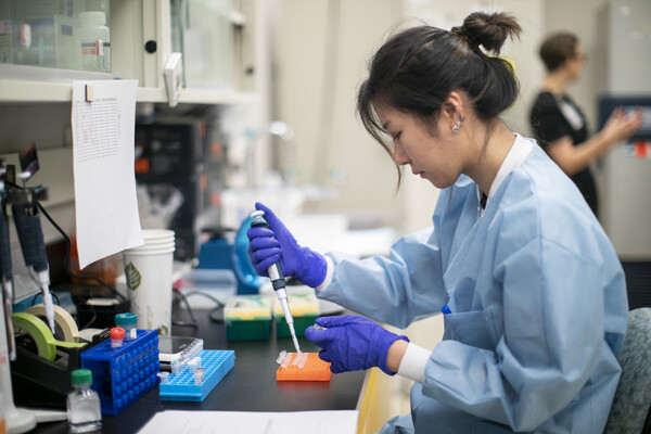 Lily Yip at work in the lab of Robert Kozak