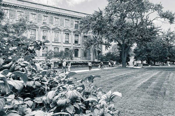 Pathway leading to the C. David Naylor Building