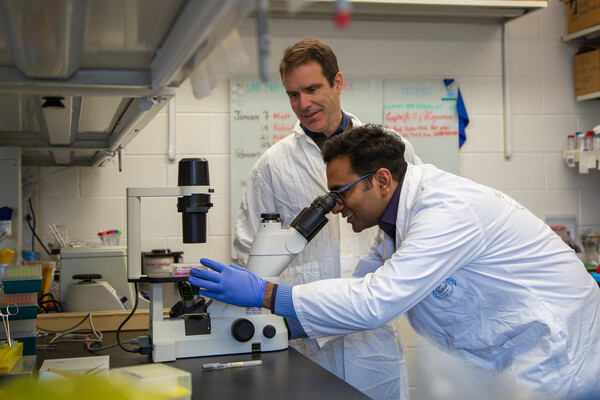 Two scientists wearing white lab coats with one looking down a microscope
