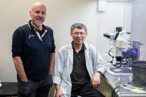 Rod Bremner and Danian Chen