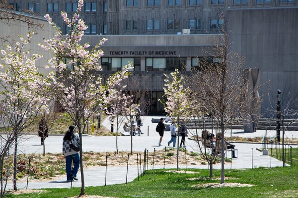 MSB in spring