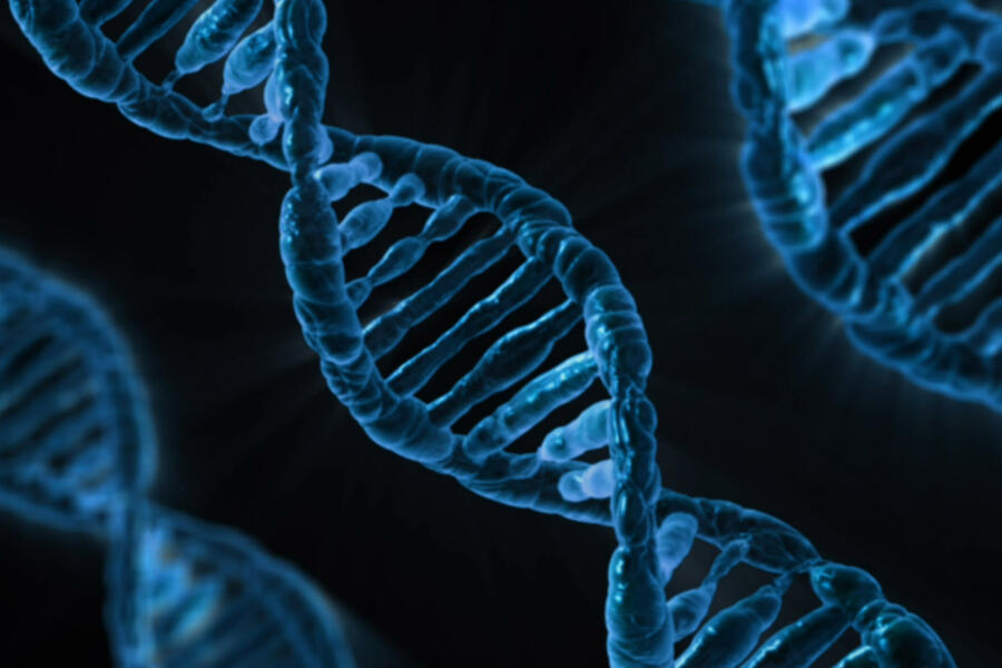 DNA Structure