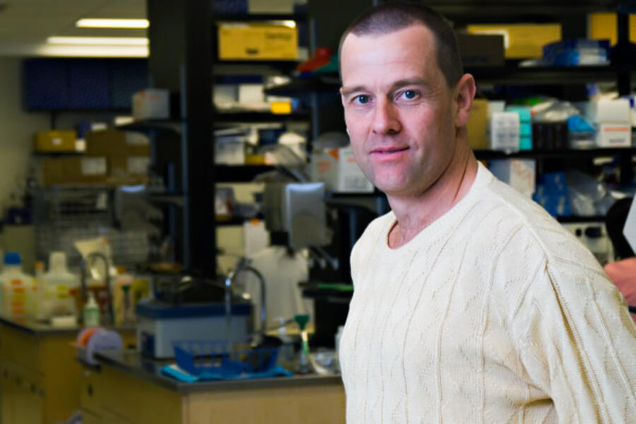 Professor Aled Edwards