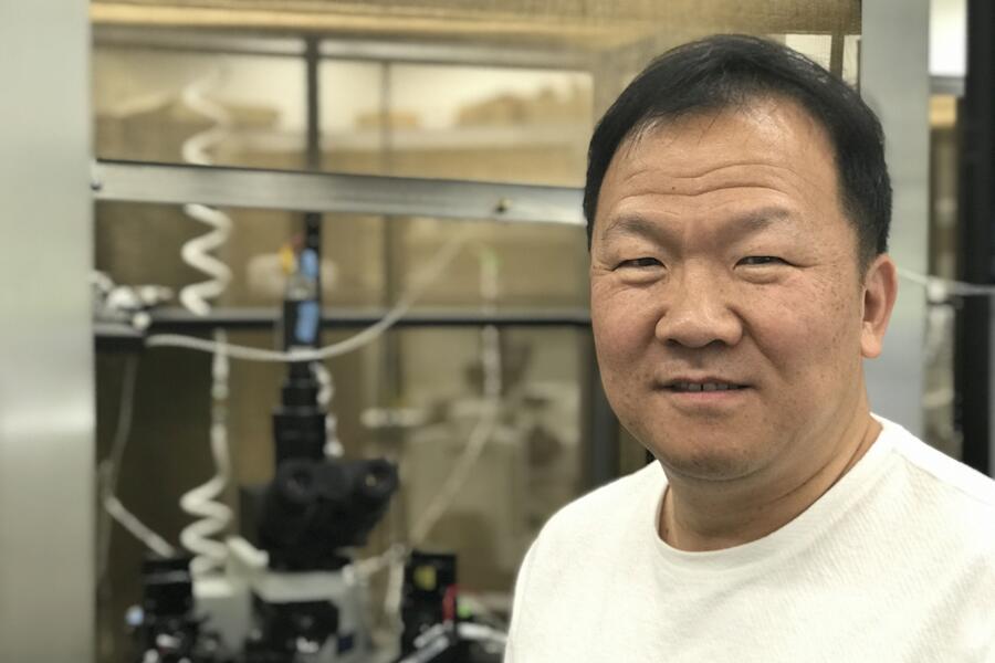 Professor Min Zhou
