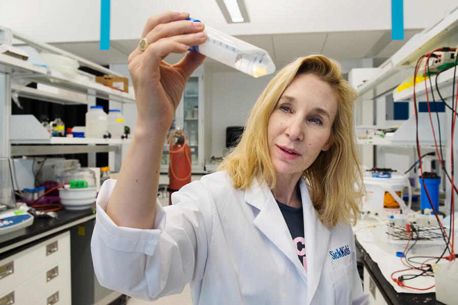 Professor Sheena Josselyn