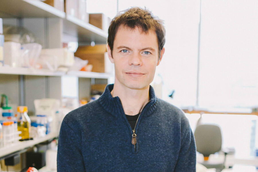 Professor Andrew Fraser
