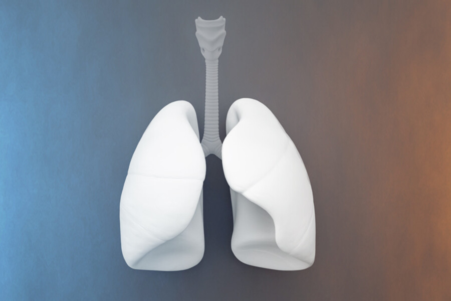 New research explores the potential benefits of storing lungs at warmer temperatures.