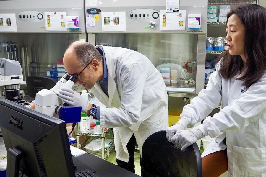 Miguel Ramalho-Santos and Juan Zhang in lab