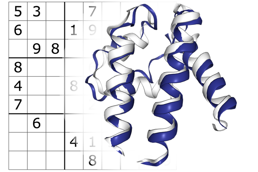 protein structure and sudoku puzzle