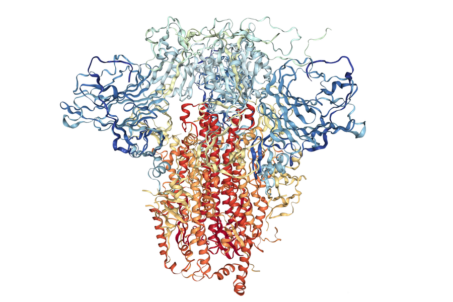 molecular structure of the coronavirus spike protein