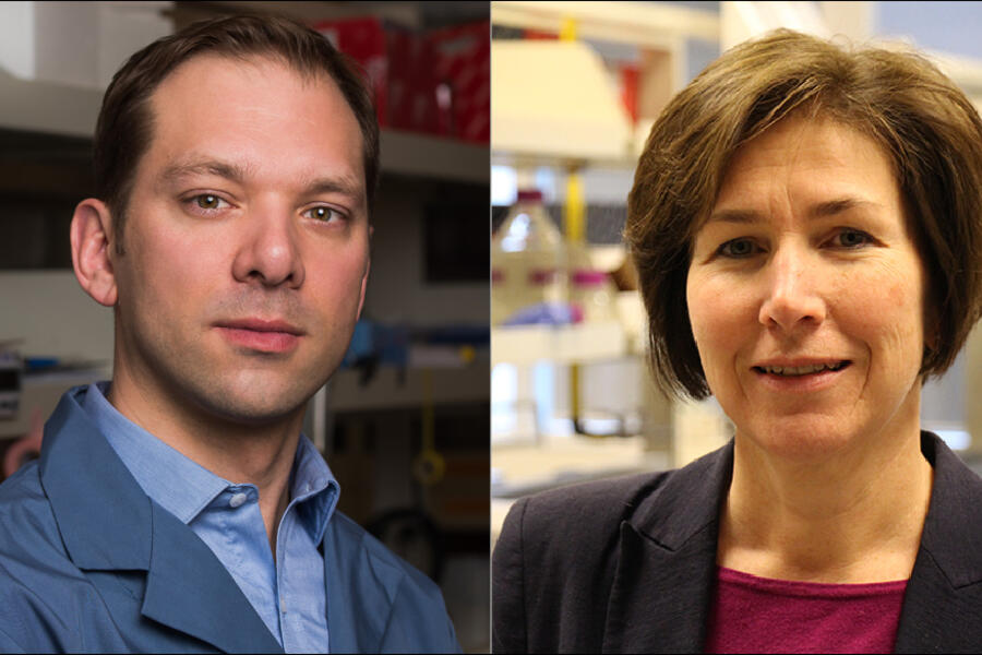 Drs. Mathieu Lupien and Cheryl Arrowsmith