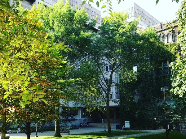 The exterior of Temerty Medicine's Medical Sciences Building on a sunny summer day