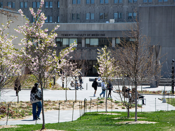 MSB exterior on a spring day