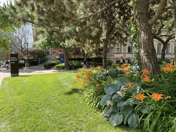 Naylor Building with garden in the foreground