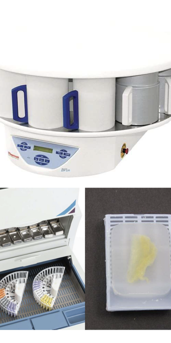 tissue processing equipment