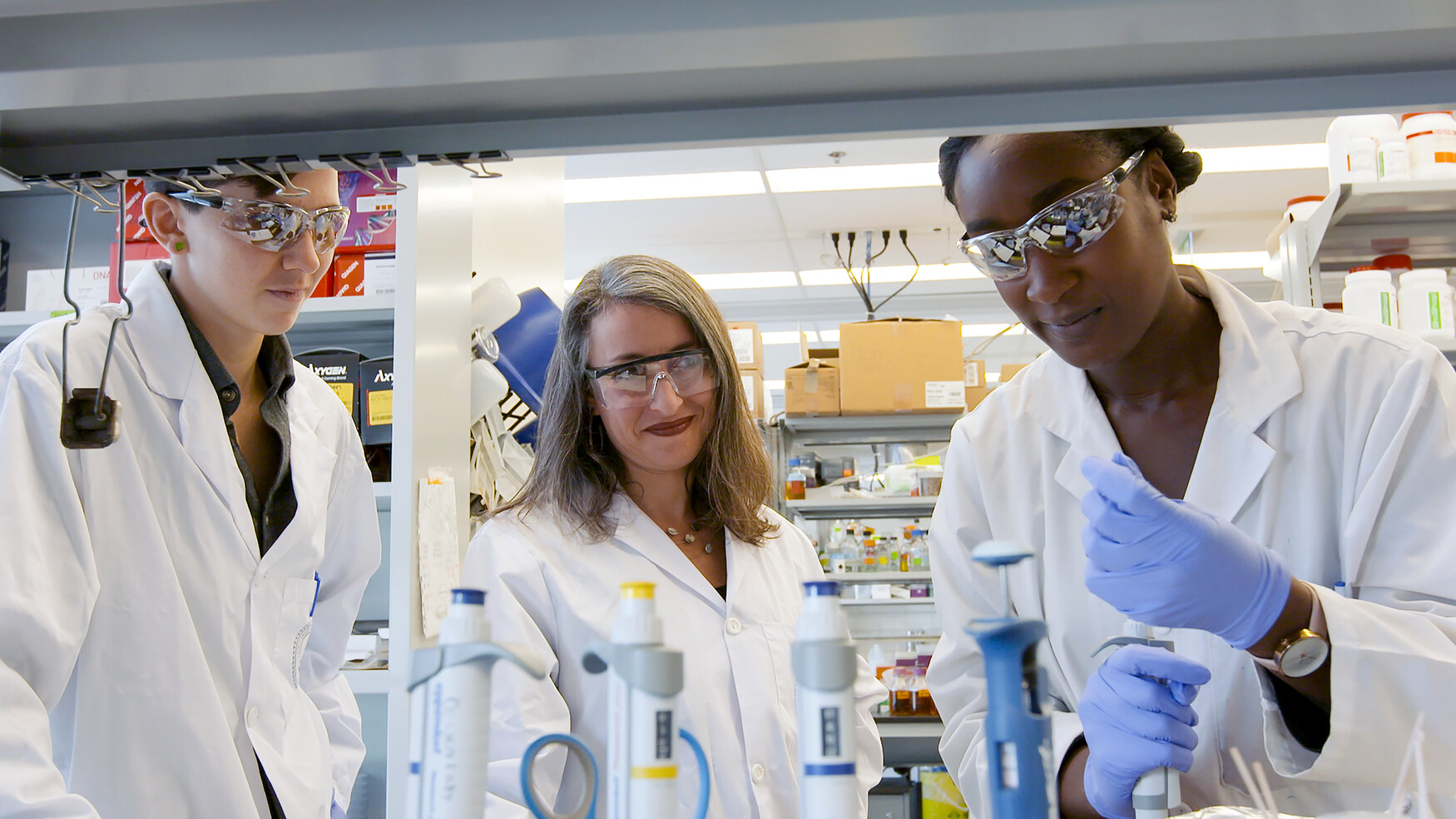 Professor Leah Cowen speaks with students in her laboratory