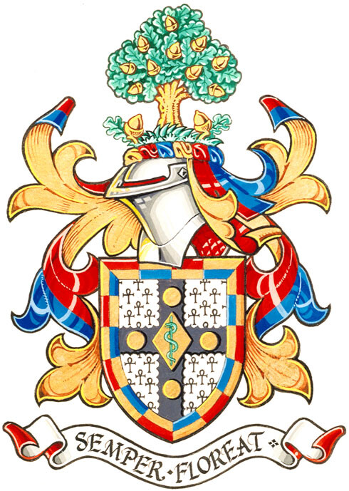 Coat of arms for the MAA