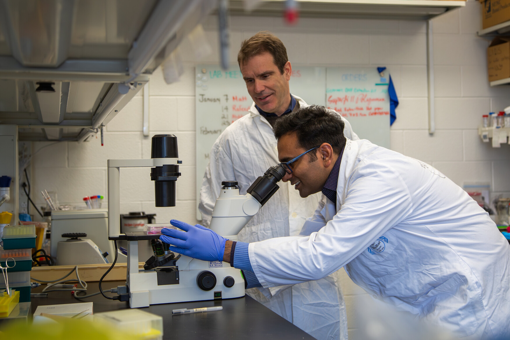 Two scientists wearing white lab coats with one looking down a microscope