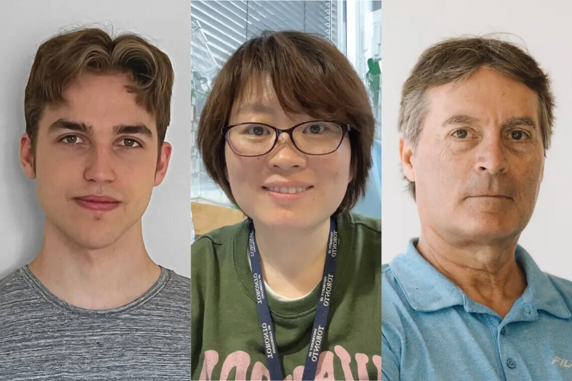 Portrait of three researchers