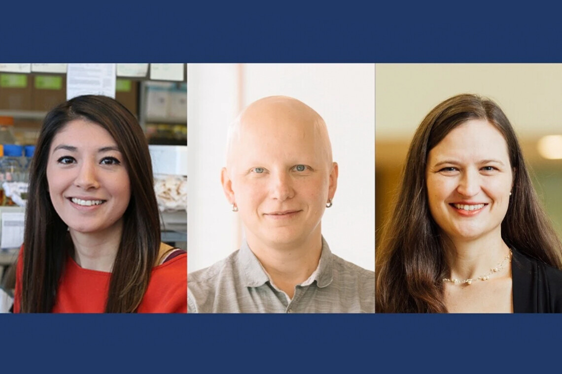 Postdoctoral Fellow Jessica Lacoste, Associate Professor Mikko Taipale and Broad Institute Scientist Anne Carpenter