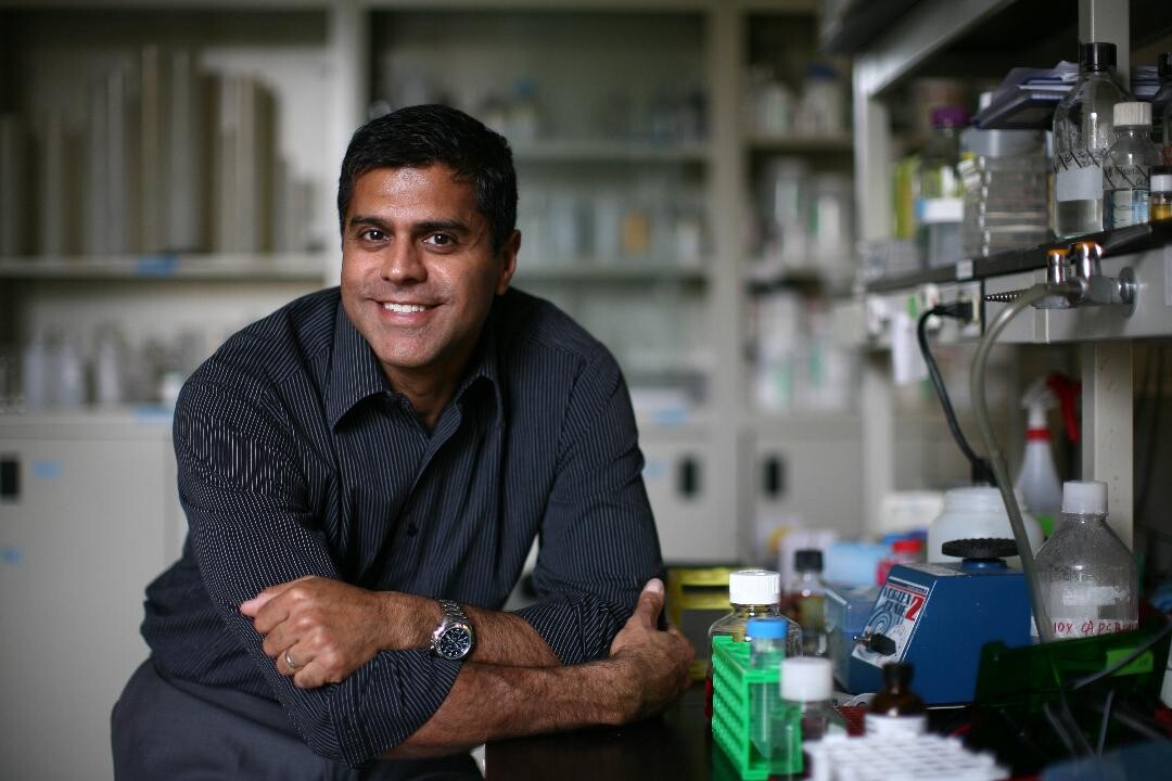 A team led by U of T researchers has prevented the development of brain changes and movement problems associated with Parkinson's disease in mice.