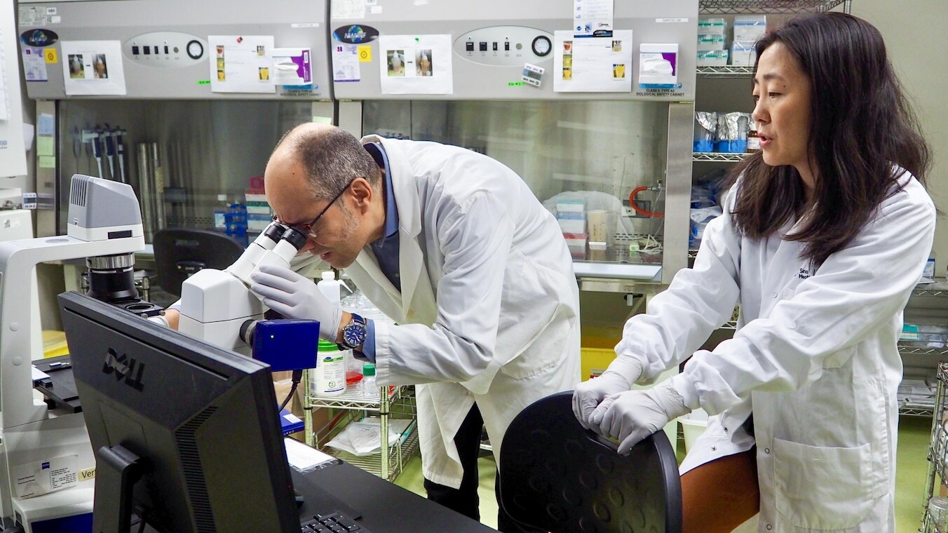 Miguel Ramalho-Santos and Juan Zhang in lab