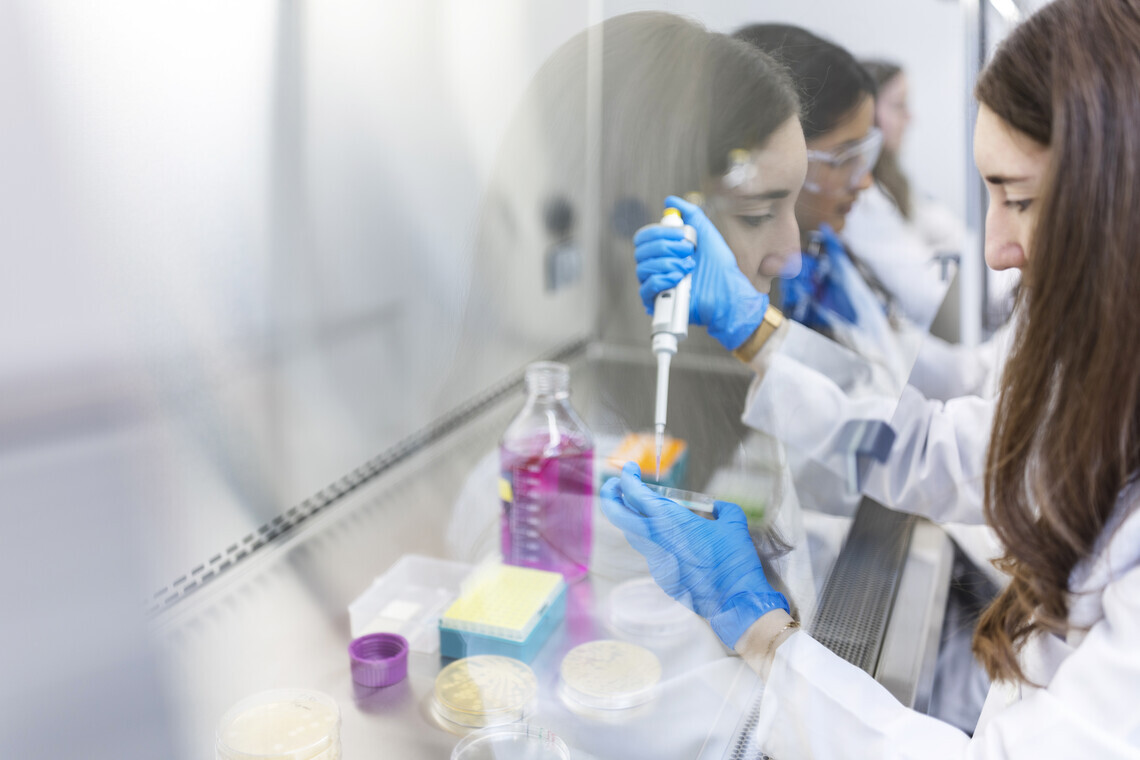 Photo: students working in the lab.