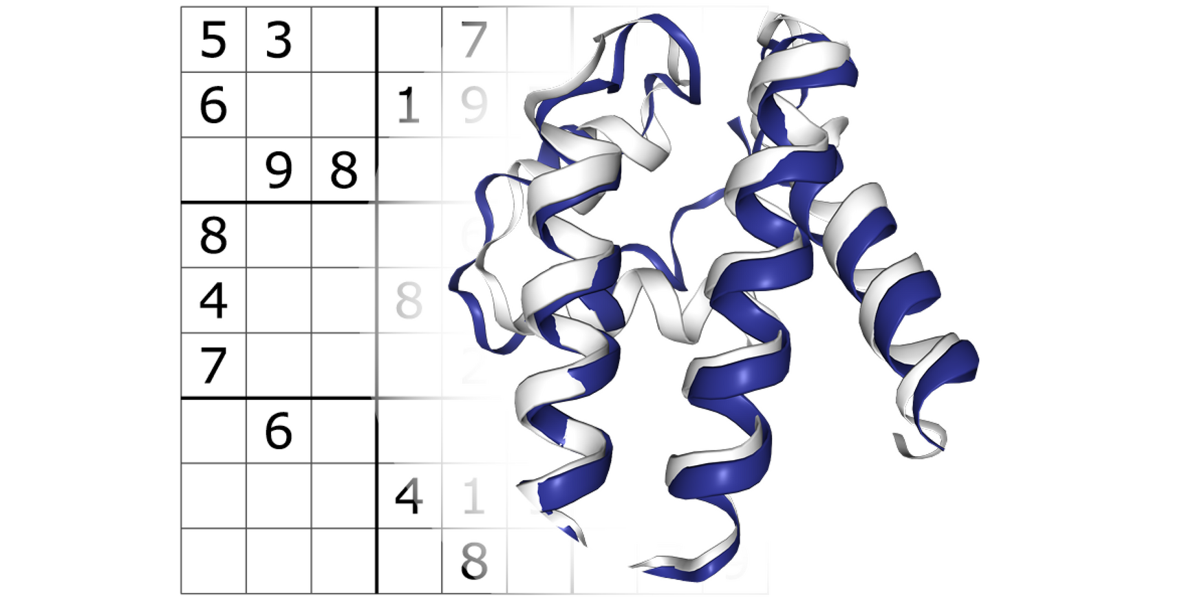 protein structure and sudoku puzzle