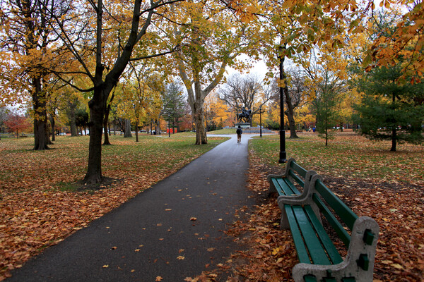 A path within Queen's Park, Toronto, with orange fall leaves on the trees and lawn. A person walks in the distance, and there are two benches on the right side of the photo.