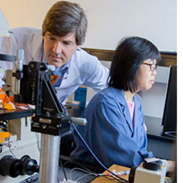 A researcher in a blue collared shirt looks at a microscope while a researchers beside him looks at a computer.